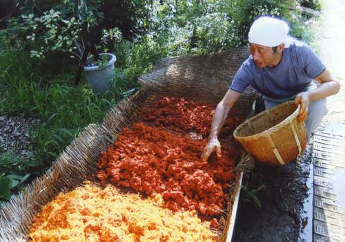 The petals are washed and dried. The piles, from left to right, have been drying for one, two, and three days, respectively.