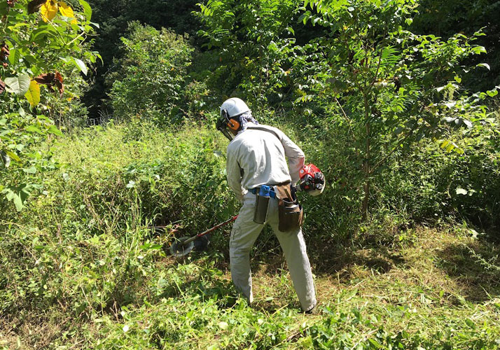 植栽地管理（除草作業）