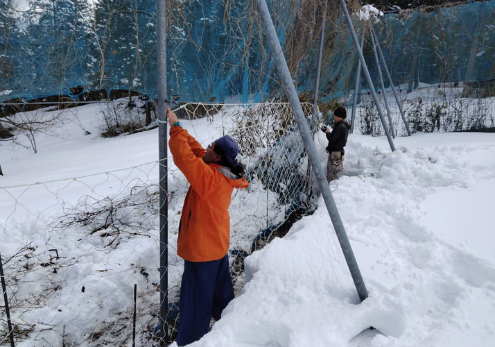植栽地管理（獣害防止フェンスの維持）