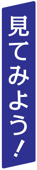 見てみよう！